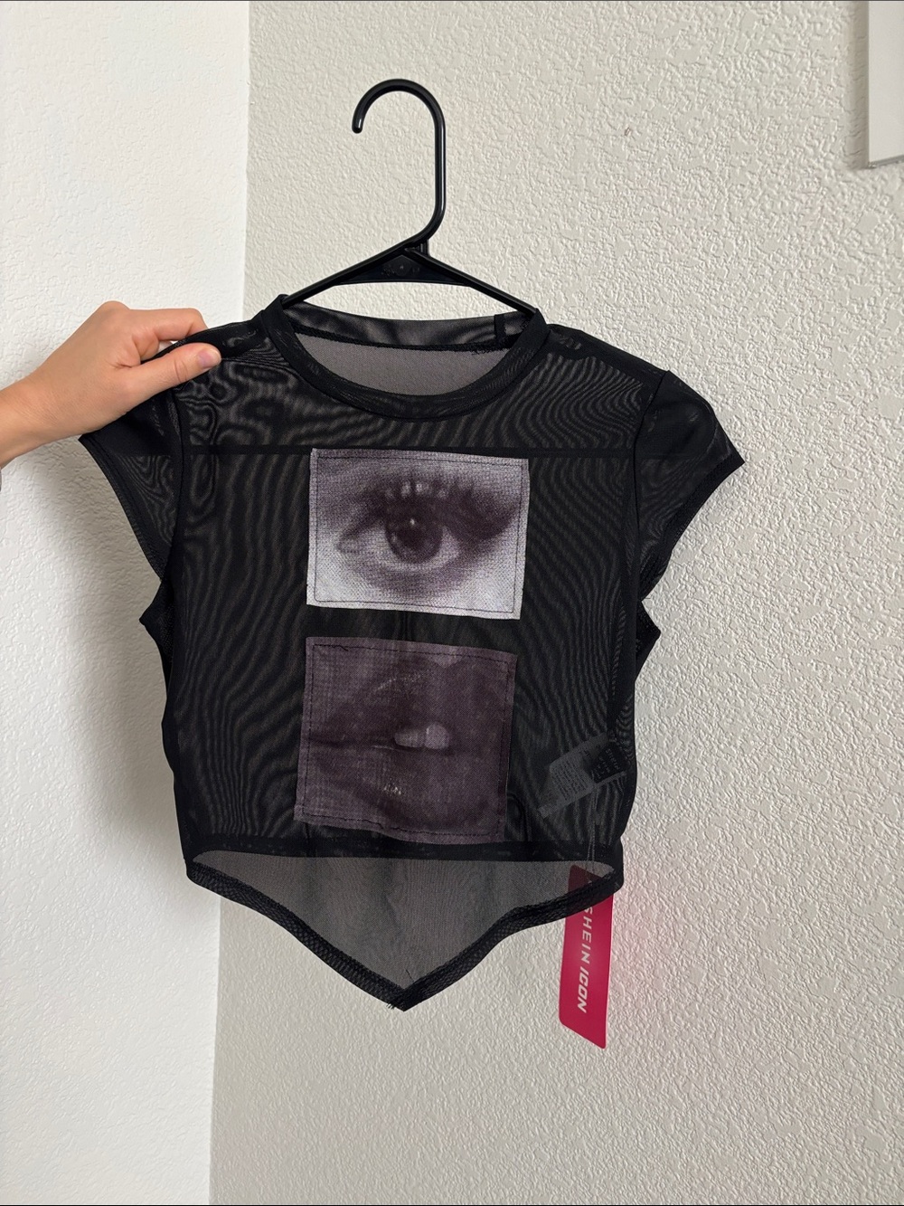 Black Sheer Mesh Graphic Crop Top with Eye & Lip Panels